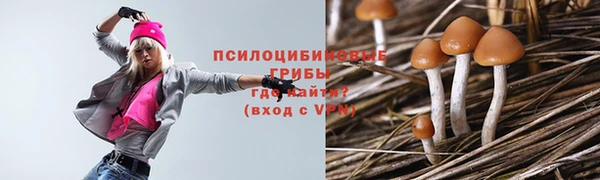 герыч Абдулино