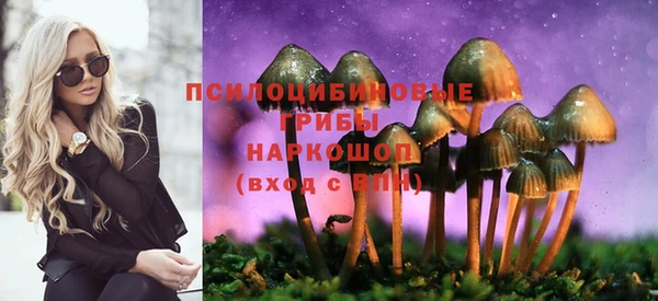 прущая мука Алзамай